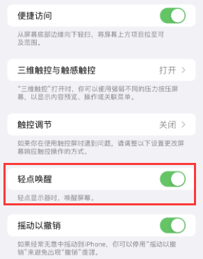 辽源苹果授权维修站分享iPhone轻点无法唤醒怎么办 