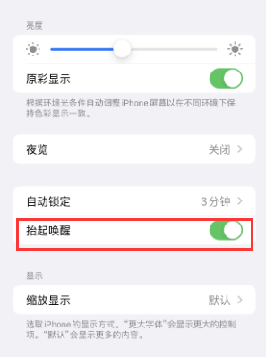 辽源苹果授权维修站分享iPhone轻点无法唤醒怎么办