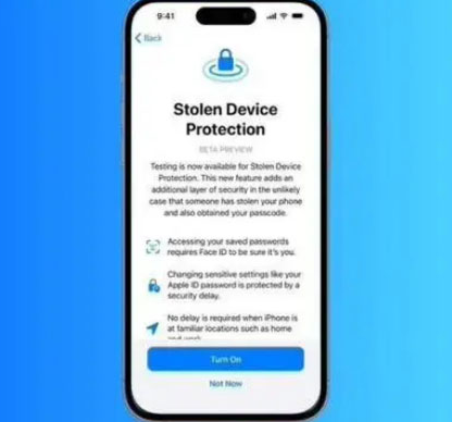 辽源苹果授权维修店分享被盗设备保护功能开启方法 