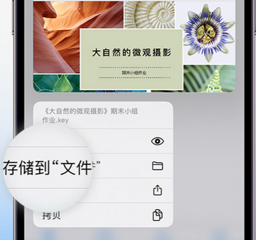 辽源apple维修中心分享iPhone文件应用中存储和找到下载文件