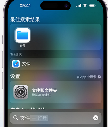 辽源apple维修中心分享iPhone文件应用中存储和找到下载文件 