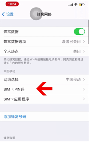 辽源苹果14维修网分享如何给iPhone14的SIM卡设置密码 