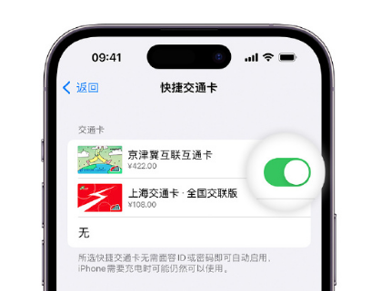 辽源apple维修点分享iPhone上更换Apple Pay快捷交通卡手绘卡面 