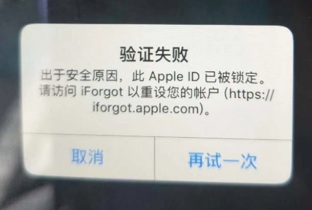 辽源iPhone维修分享iPhone上正常登录或使用AppleID怎么办 