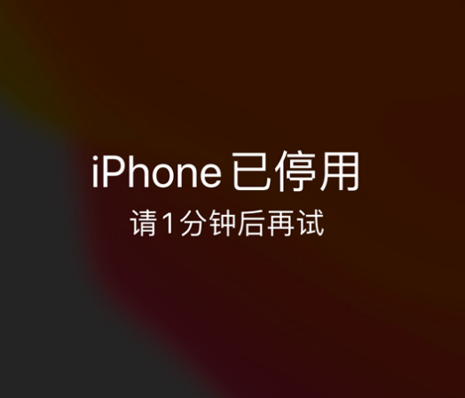 辽源苹果手机维修分享:iPhone 显示“不可用”或“已停用”怎么办？还能保留数据吗？ 