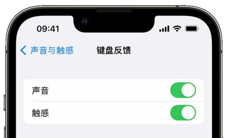 辽源苹果手机维修分享iPhone 14触感键盘使用方法 