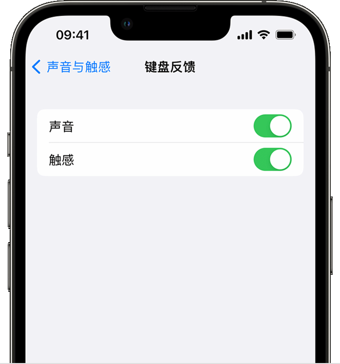 辽源苹果14维修店分享如何在 iPhone 14 机型中使用触感键盘 