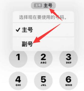 辽源苹果14维修店分享iPhone 14 Pro Max使用副卡打电话的方法 