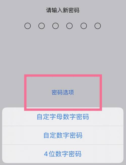 辽源苹果14维修分享iPhone 14plus设置密码的方法 