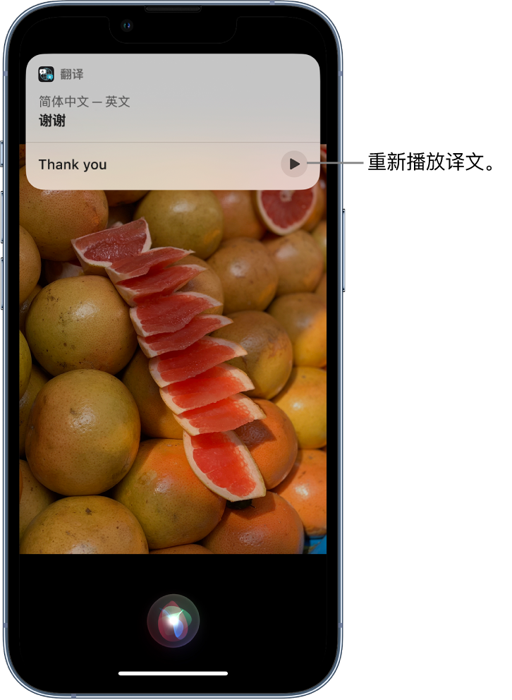 辽源苹果14维修分享 iPhone 14 机型中使用 Siri：了解 Siri 能帮你做什么 