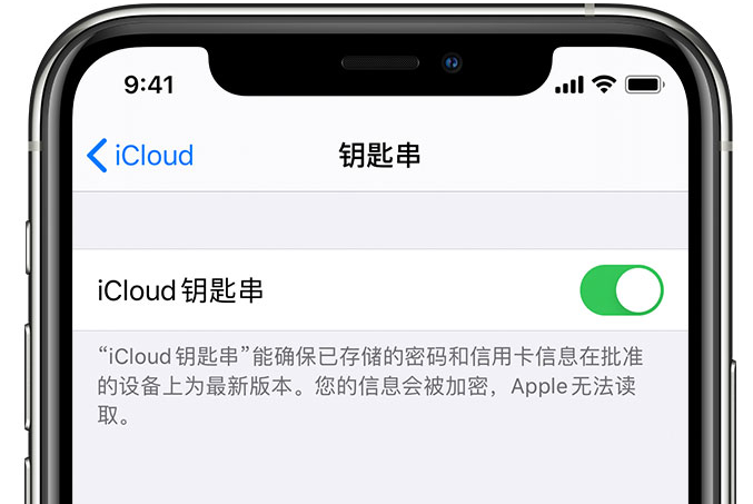 辽源苹果手机维修分享在 iPhone 上开启 iCloud 钥匙串之后会储存哪些信息 