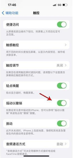 辽源苹果手机维修分享iPhone手机如何设置摇一摇删除文字 